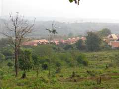 201302 Chiang Mai15